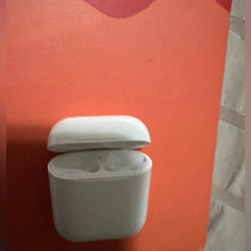Apple White Earbuds Case